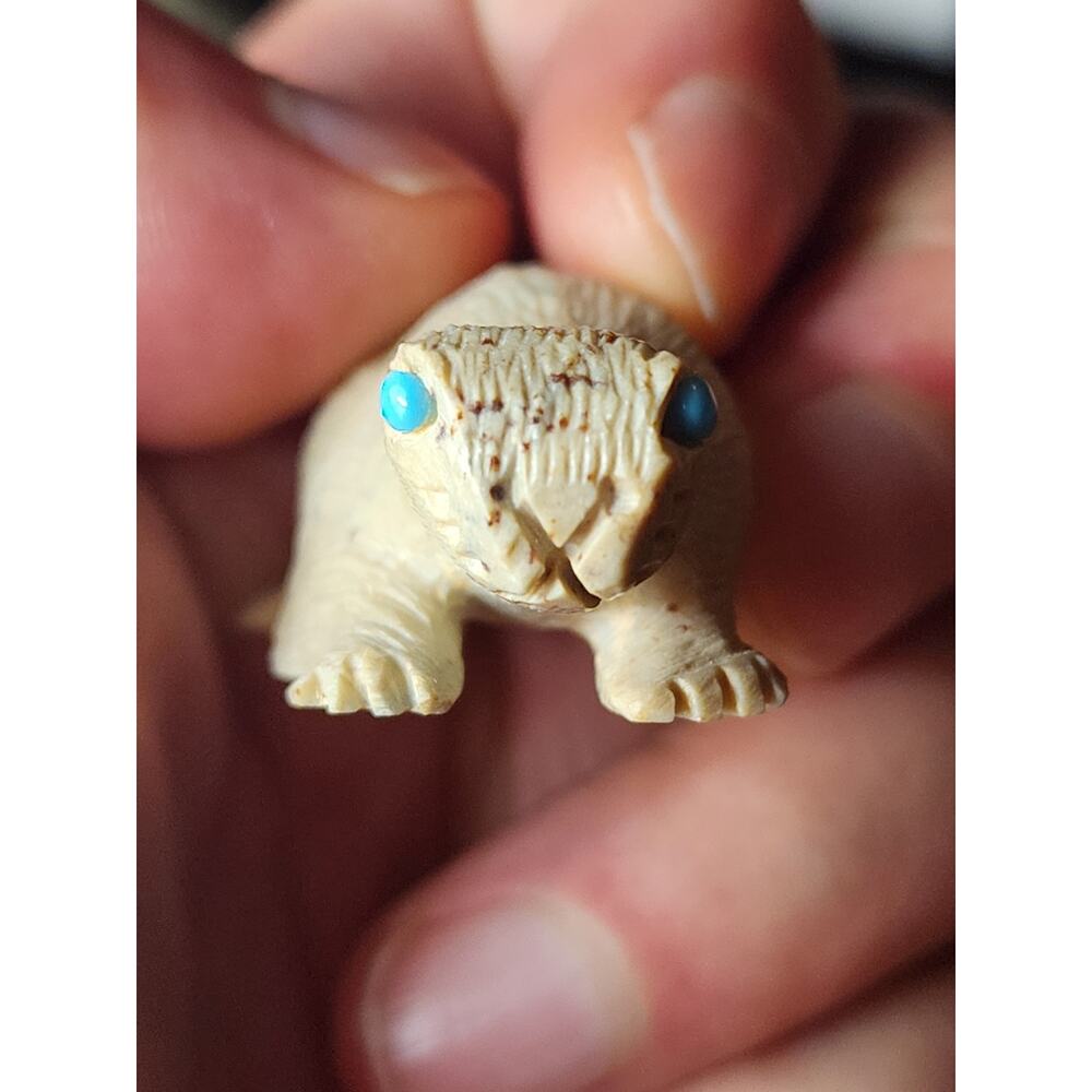 Native American Zuni Reptile Fetish Carving Turquoise Totem Southwest Art Signed - Picture 10 of 10